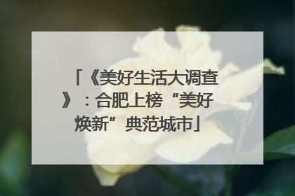 《美好生活大调查》：合肥上榜“美好焕新”典范城市