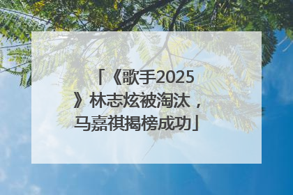 《歌手2025》林志炫被淘汰，马嘉祺揭榜成功