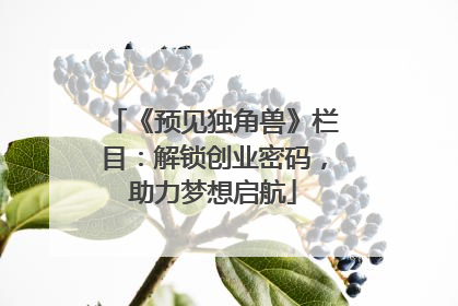 《预见独角兽》栏目：解锁创业密码，助力梦想启航
