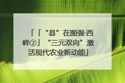 「“县”在图强·西峰②」“三元双向”激活现代农业新动能