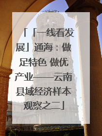 「一线看发展」通海：做足特色 做优产业——云南县域经济样本观察之二