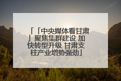 「中央媒体看甘肃」聚焦集群建设 加快转型升级 甘肃支柱产业增势强劲