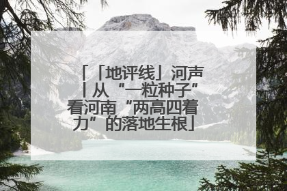「地评线」河声丨从“一粒种子”看河南“两高四着力”的落地生根