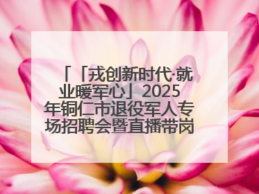 「戎创新时代·就业暖军心」2025年铜仁市退役军人专场招聘会暨直播带岗活动顺利举行