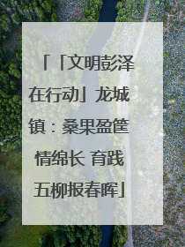 「文明彭泽在行动」龙城镇：桑果盈筐情绵长 育践五柳报春晖