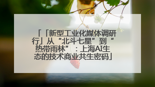 「新型工业化媒体调研行」从“北斗七星”到“热带雨林”：上海AI生态的技术商业共生密码