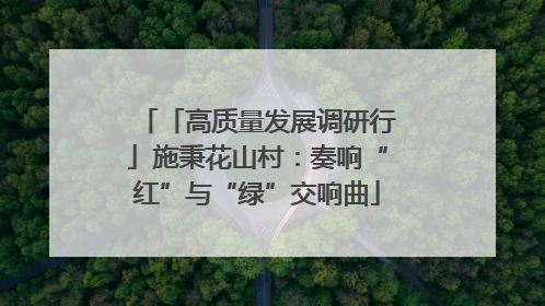 「高质量发展调研行」施秉花山村：奏响“红”与“绿”交响曲