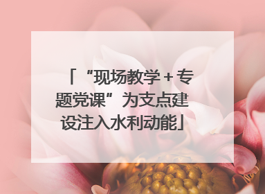 “现场教学＋专题党课”为支点建设注入水利动能