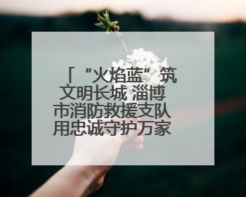 “火焰蓝”筑文明长城 淄博市消防救援支队用忠诚守护万家灯火