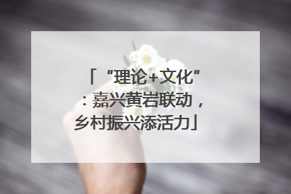 “理论+文化”：嘉兴黄岩联动，乡村振兴添活力