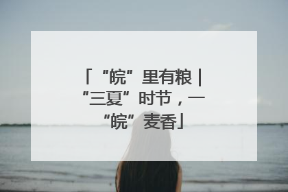“皖”里有粮｜“三夏”时节，一“皖”麦香