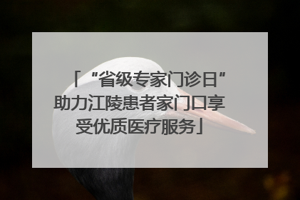“省级专家门诊日”助力江陵患者家门口享受优质医疗服务