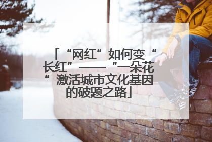 “网红”如何变“长红”——“一朵花”激活城市文化基因的破题之路