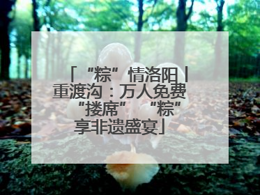 “粽”情洛阳丨重渡沟：万人免费“搂席” “粽”享非遗盛宴