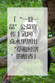 “一县一品”公益宣传丨武冈：卤水里熬出“草根经济”的醇香