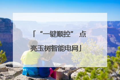 “一键顺控” 点亮玉树智能电网