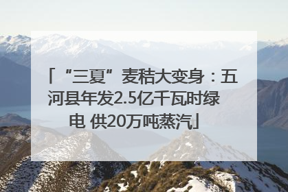 “三夏”麦秸大变身：五河县年发2.5亿千瓦时绿电 供20万吨蒸汽