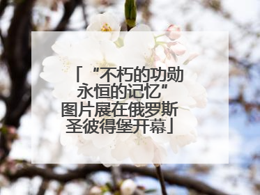 “不朽的功勋 永恒的记忆”图片展在俄罗斯圣彼得堡开幕