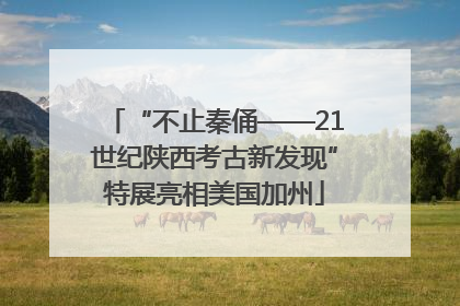 “不止秦俑——21世纪陕西考古新发现”特展亮相美国加州
