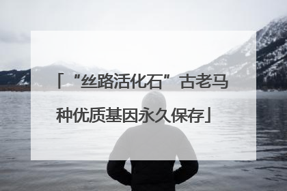 “丝路活化石”古老马种优质基因永久保存