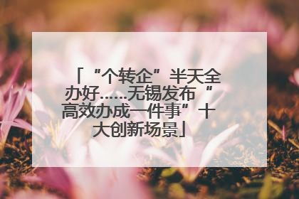 “个转企”半天全办好……无锡发布“高效办成一件事”十大创新场景