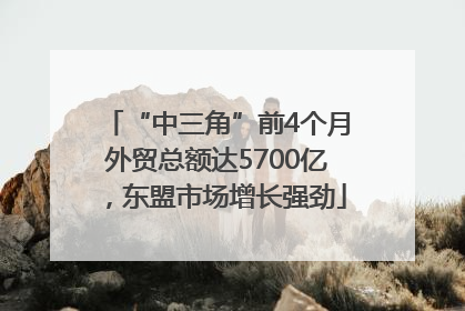 “中三角”前4个月外贸总额达5700亿，东盟市场增长强劲