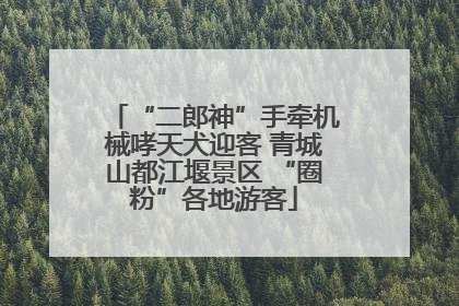 “二郎神”手牵机械哮天犬迎客 青城山都江堰景区 “圈粉”各地游客