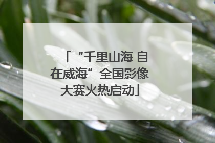 “千里山海 自在威海”全国影像大赛火热启动