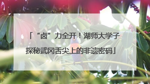 “卤”力全开！湖师大学子探秘武冈舌尖上的非遗密码