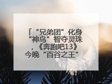 “兄弟团”化身“神鸟”智夺灵珠，《奔跑吧13》今晚“百谷之王”花落谁家？