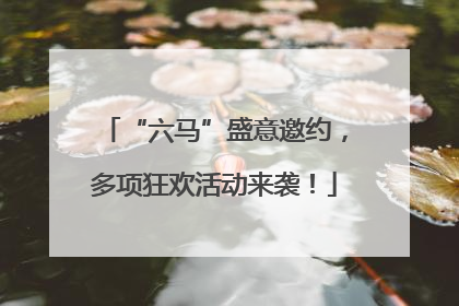 “六马”盛意邀约，多项狂欢活动来袭！