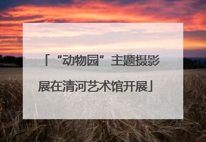 “动物园”主题摄影展在清河艺术馆开展