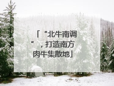 “北牛南调”，打造南方肉牛集散地