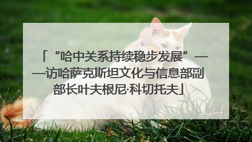 “哈中关系持续稳步发展”——访哈萨克斯坦文化与信息部副部长叶夫根尼·科切托夫