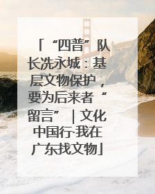 “四普”队长冼永城：基层文物保护，要为后来者“留言”｜文化中国行·我在广东找文物