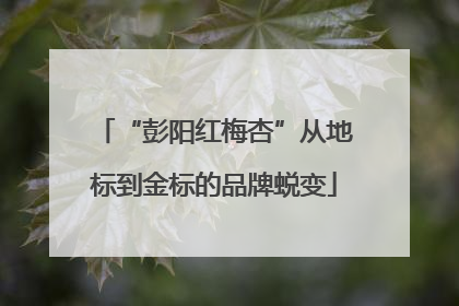 “彭阳红梅杏”从地标到金标的品牌蜕变