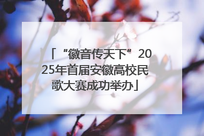 “徽音传天下”2025年首届安徽高校民歌大赛成功举办