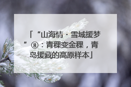 “山海情・雪域援梦”⑧：青稞变金稞，青岛援藏的高原样本