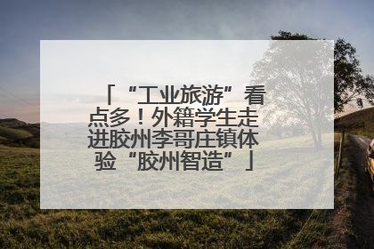 “工业旅游”看点多！外籍学生走进胶州李哥庄镇体验“胶州智造”
