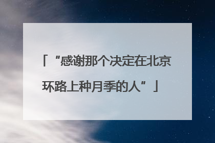 “感谢那个决定在北京环路上种月季的人”