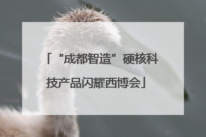 “成都智造”硬核科技产品闪耀西博会
