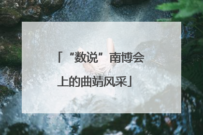 “数说”南博会上的曲靖风采