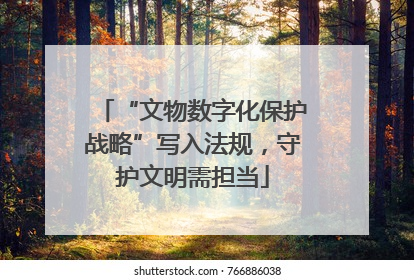 “文物数字化保护战略”写入法规，守护文明需担当