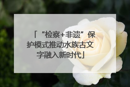 “检察+非遗”保护模式推动水族古文字融入新时代