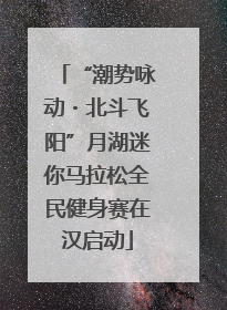 “潮势咏动・北斗飞阳”月湖迷你马拉松全民健身赛在汉启动