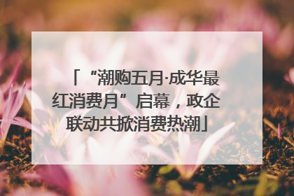 “潮购五月·成华最红消费月”启幕，政企联动共掀消费热潮