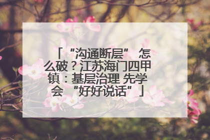 “沟通断层” 怎么破？江苏海门四甲镇：基层治理 先学会 “好好说话”
