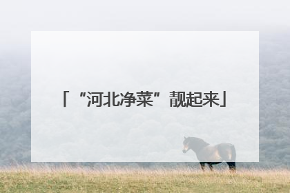 “河北净菜”靓起来
