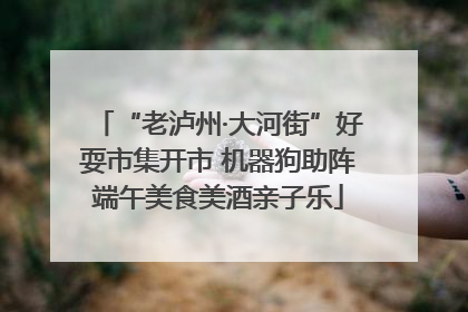 “老泸州·大河街”好耍市集开市 机器狗助阵端午美食美酒亲子乐