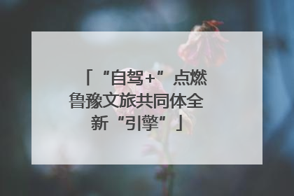 “自驾+”点燃鲁豫文旅共同体全新“引擎”